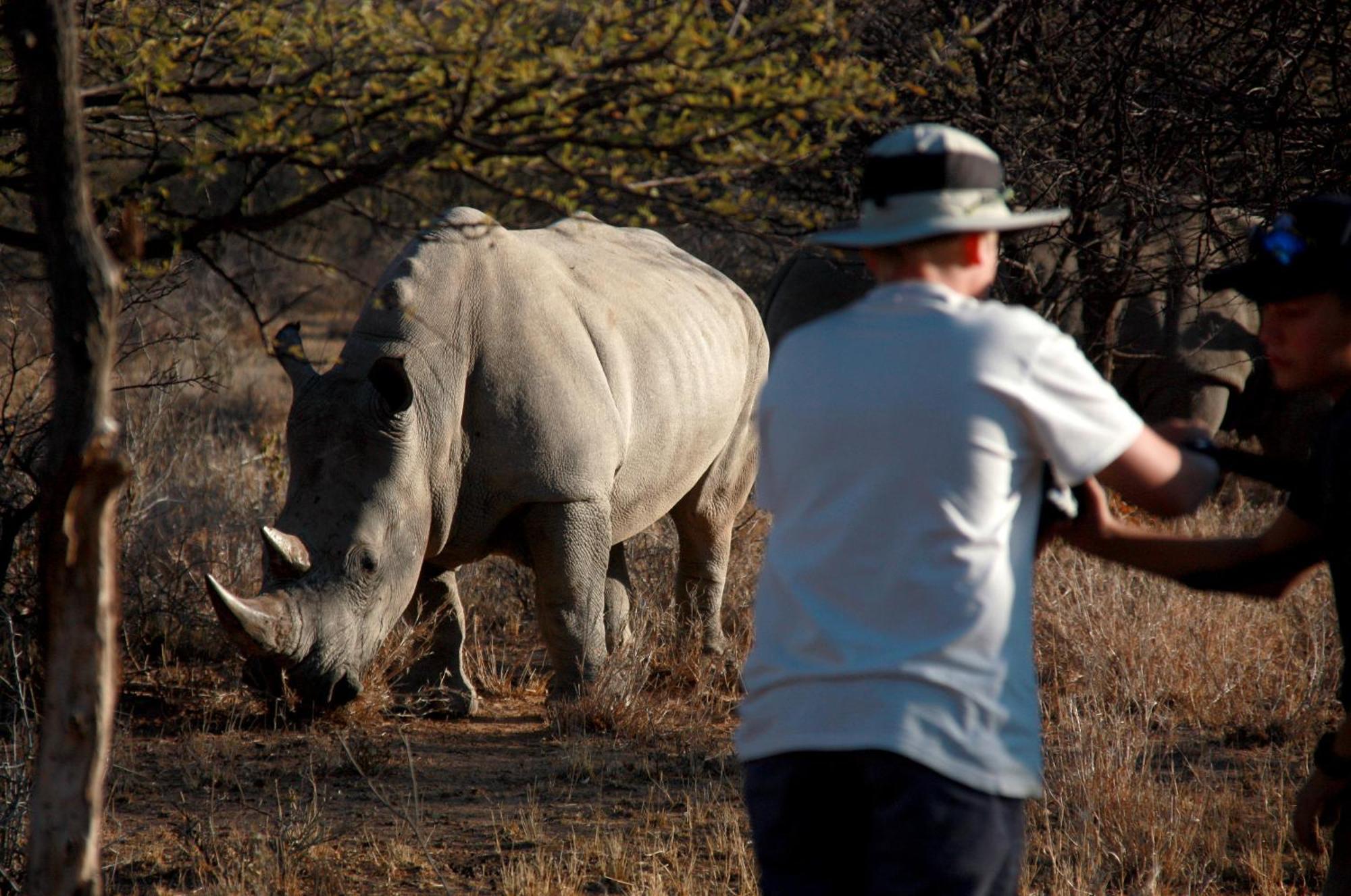 Вилла Waterberg Wilderness - One Namibia Номер фото