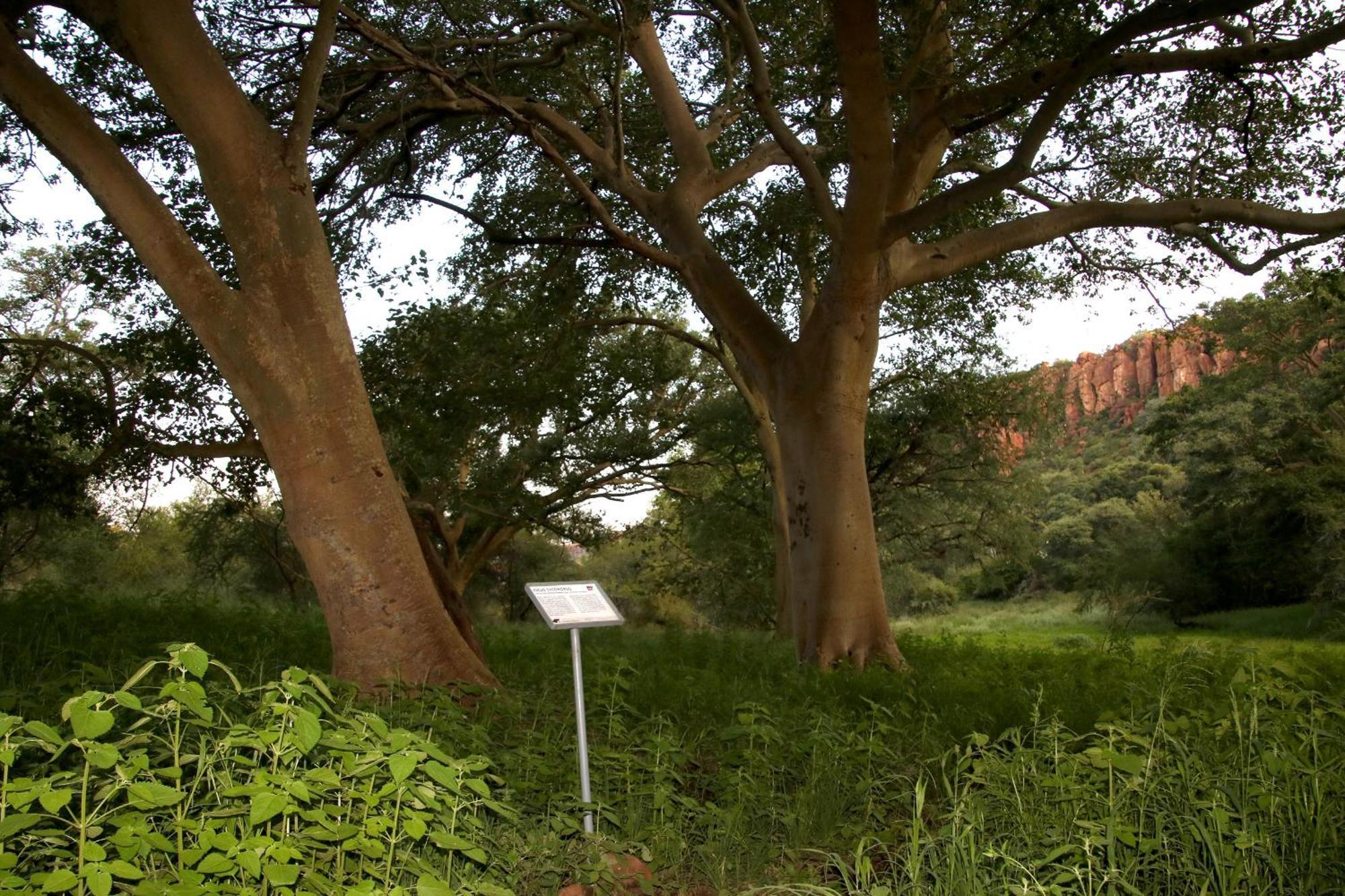 Вилла Waterberg Wilderness - One Namibia Экстерьер фото