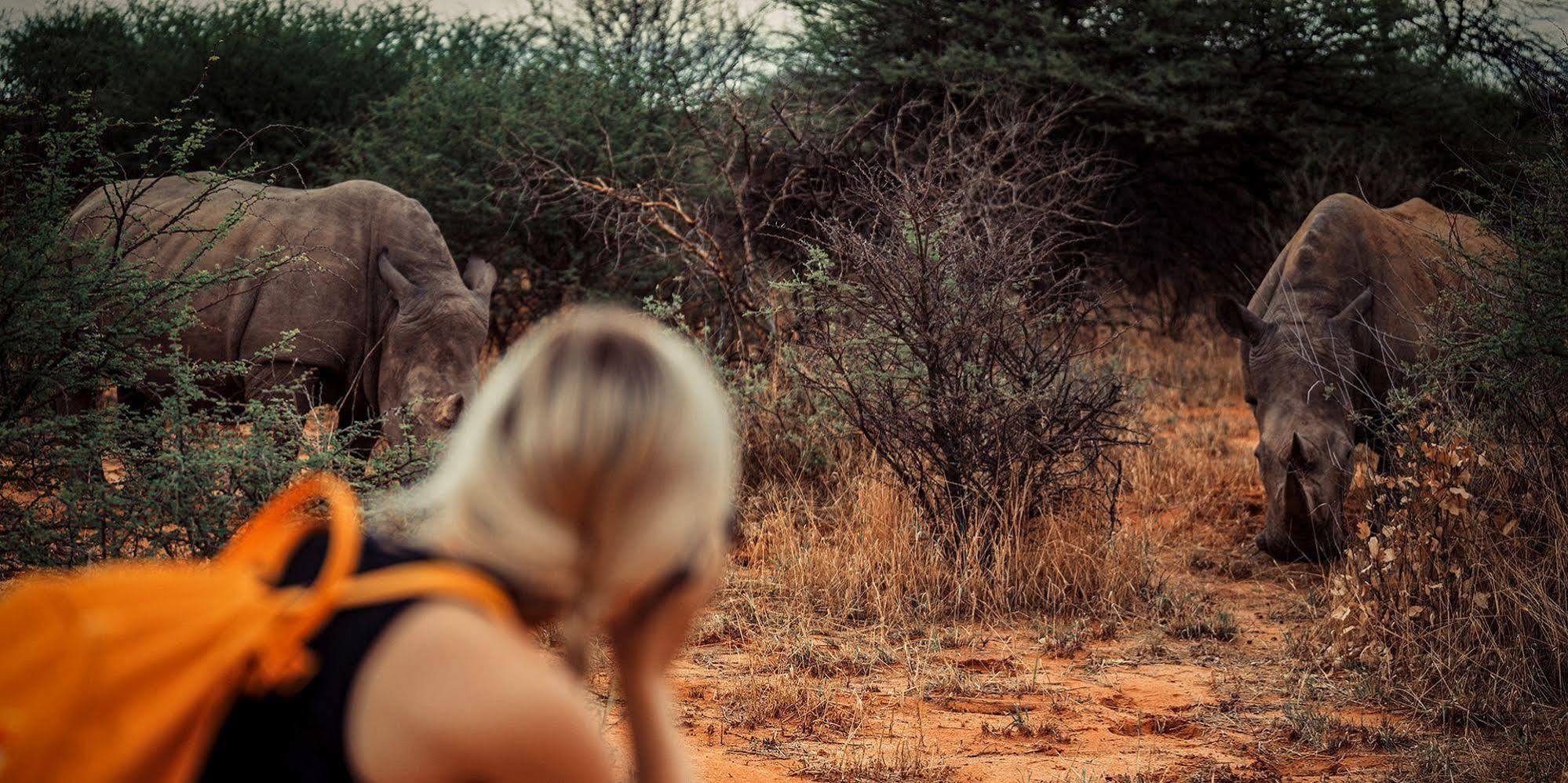 Вилла Waterberg Wilderness - One Namibia Экстерьер фото